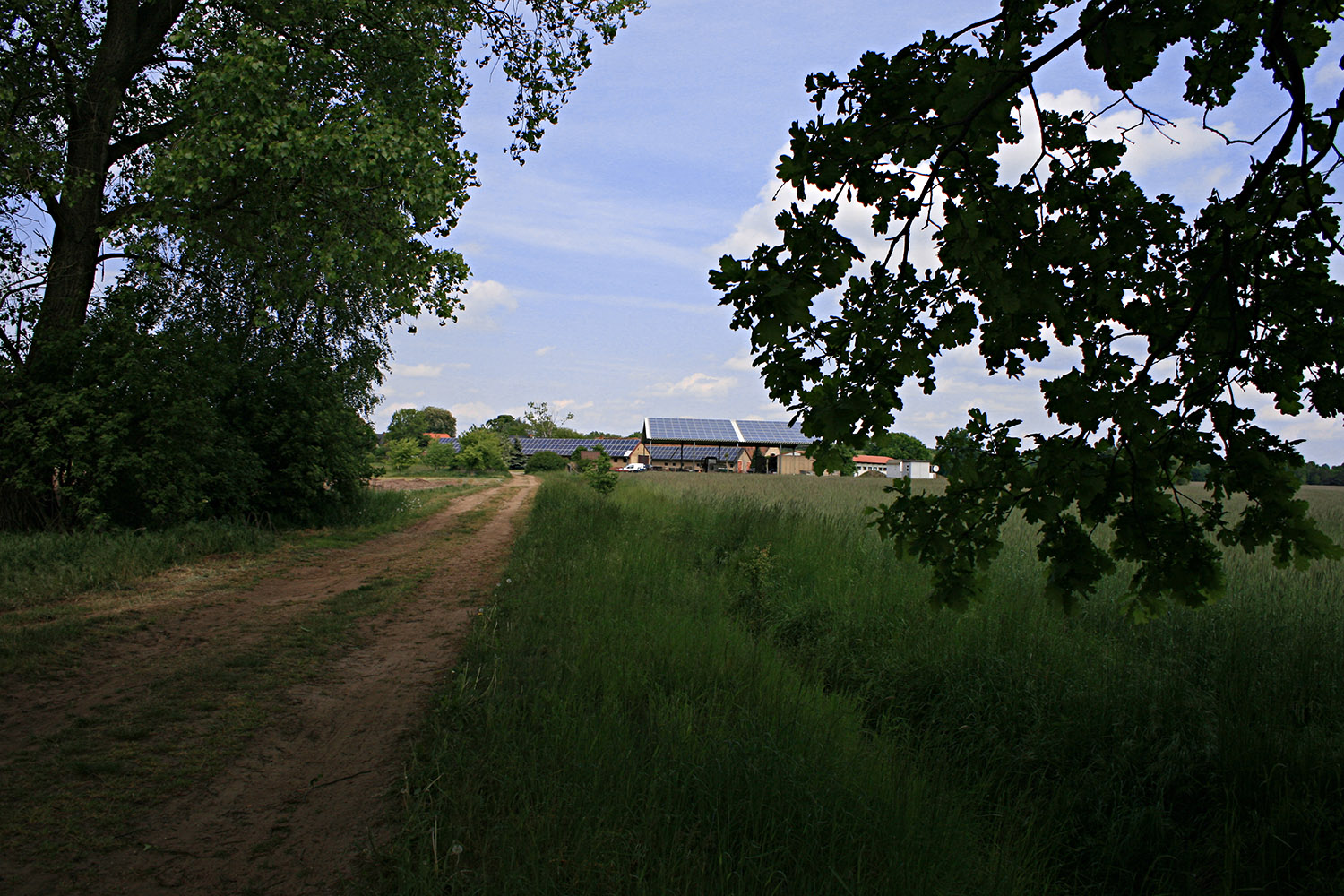 spargelhof, kalkwitz, spargel, calau, spreewald, folienfrei, anbau, scharkowski, frisch, saison, 2016, natürlich, geschmack, leipzig, berlin, dresden, deutschland, ohne folie, hofladen