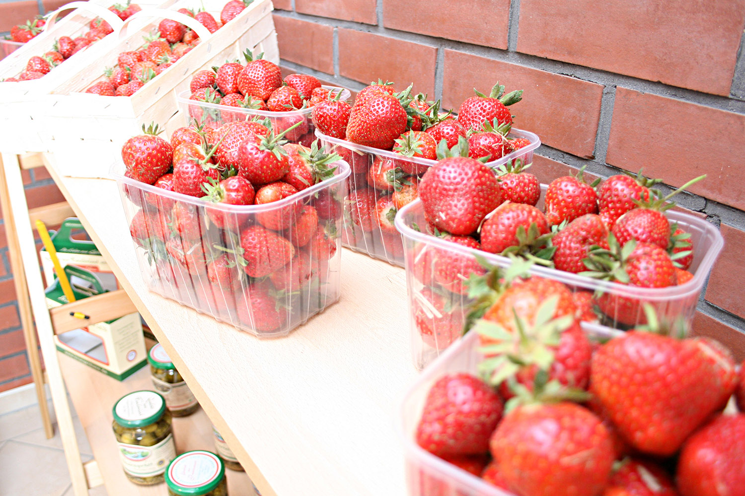 Spargelhof Kalkwitz Spreewald Erdbeeren Verkauf