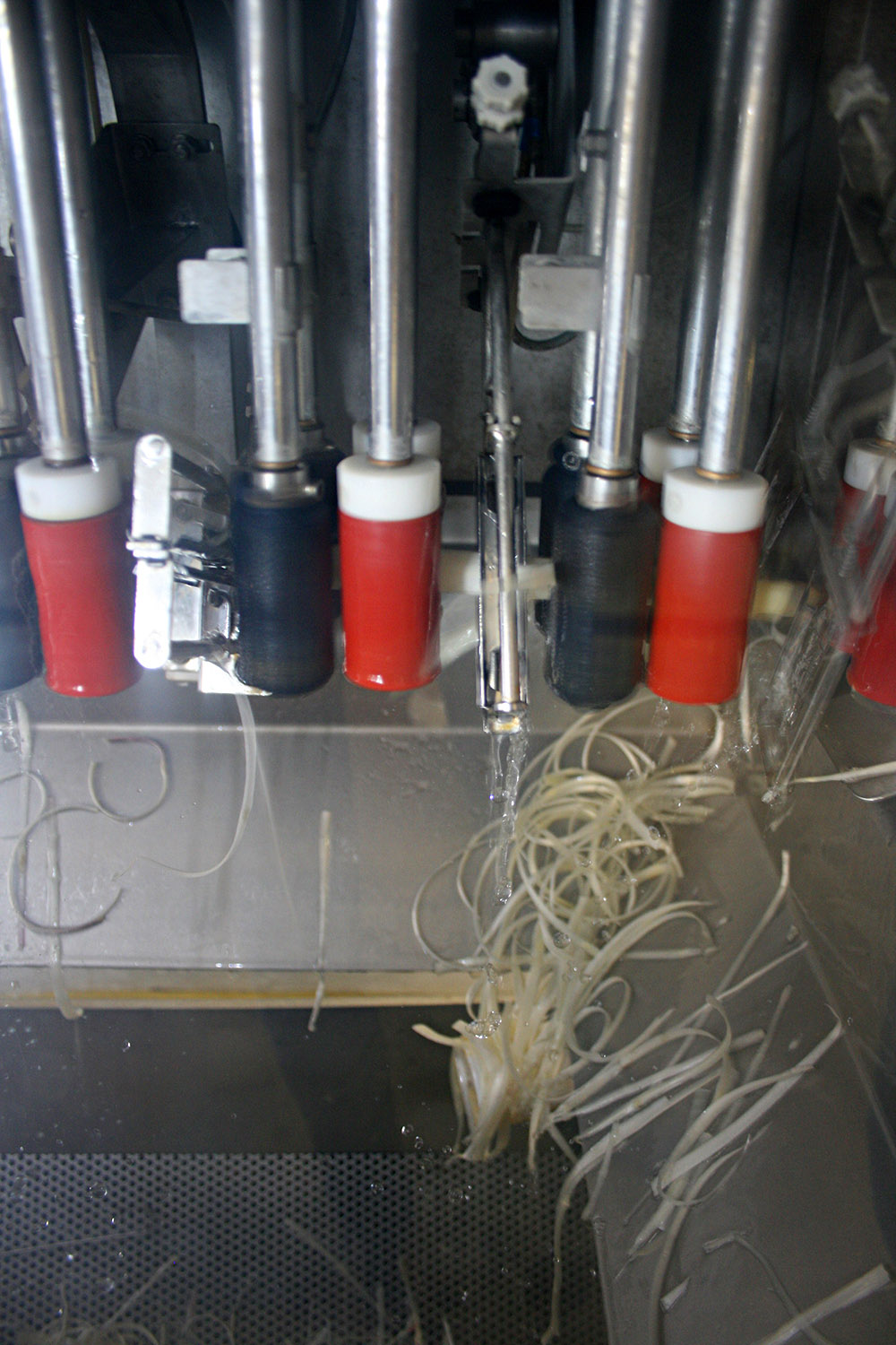 Spargelhof Kalkwitz folienfreier Spargel Schälmaschine